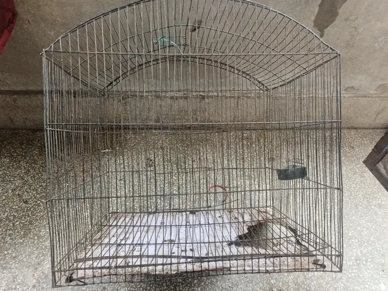 cage for sale — photo 4