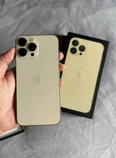 Apple iPhone 13 Pro Max