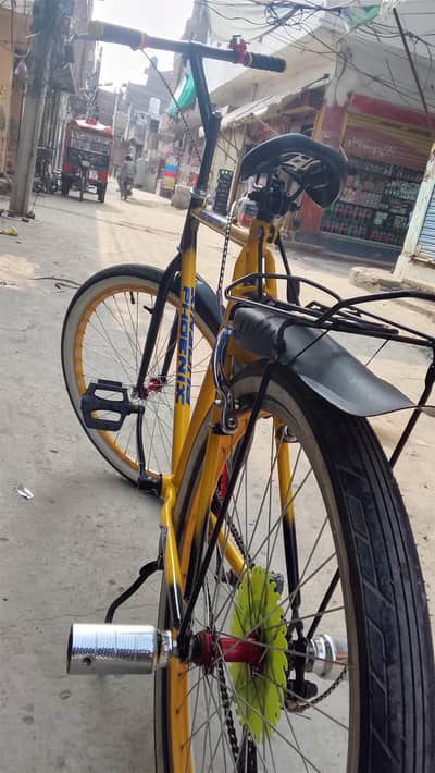 Phoenix cycle new parts