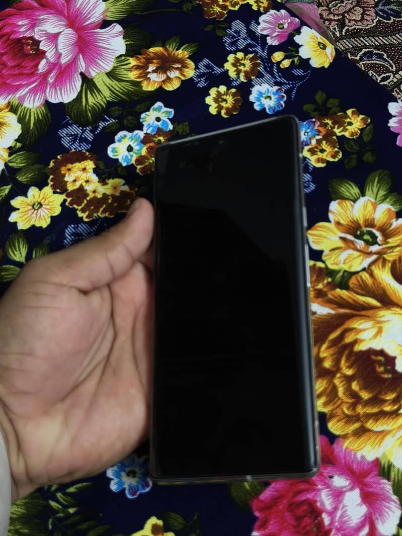 Google Pixel 6 Pro 1