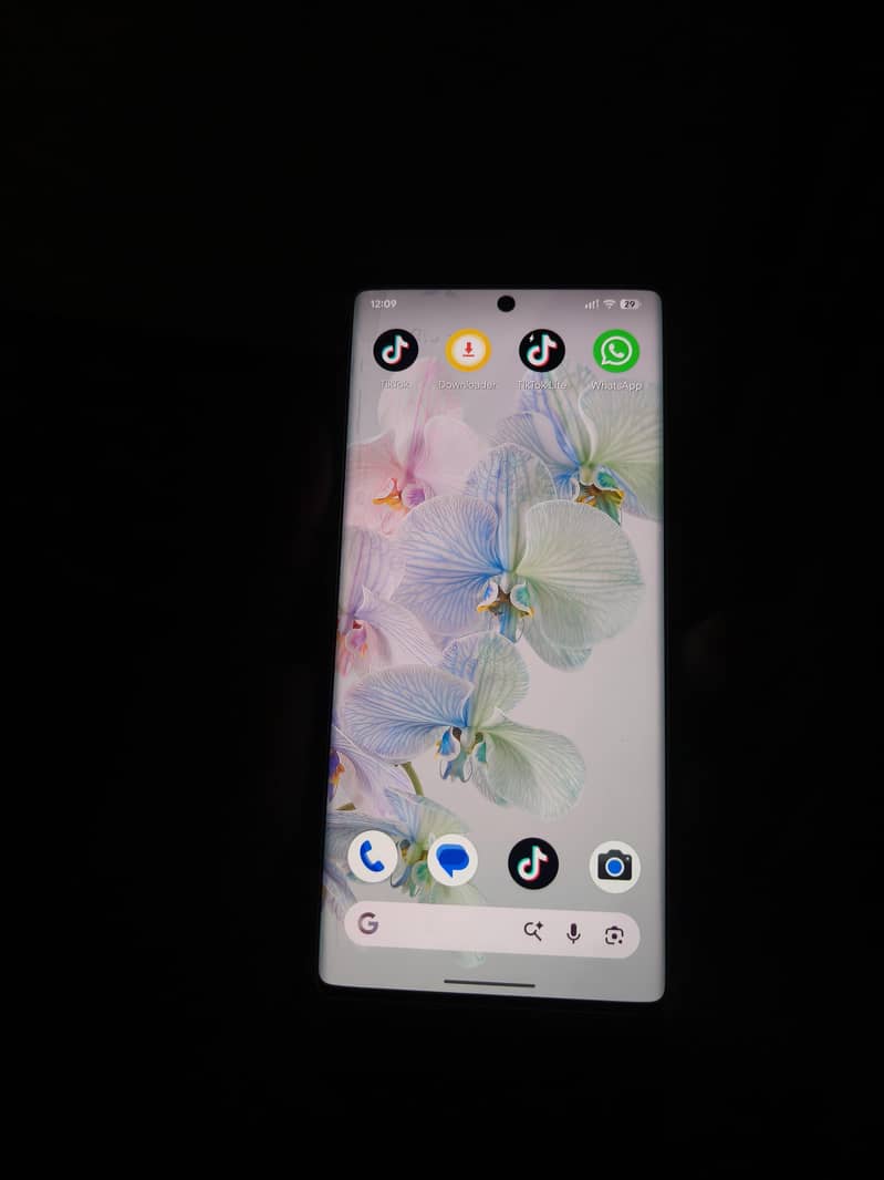 Google Pixel 6 Pro 6