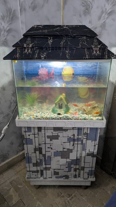 Acqurium and Fishs