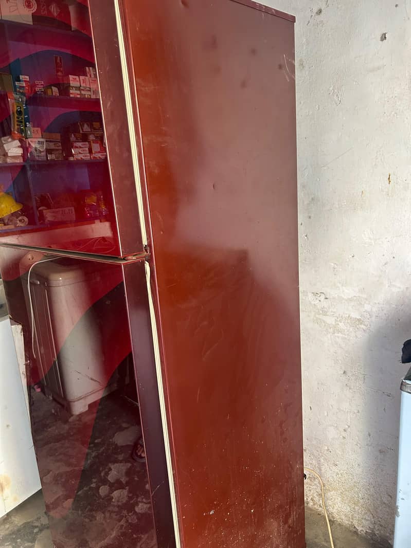 PEL Fridge 3