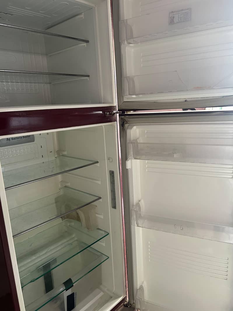 PEL Fridge 5