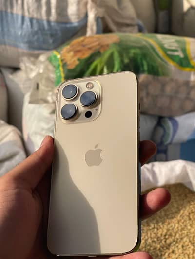 Apple iPhone 13 Pro