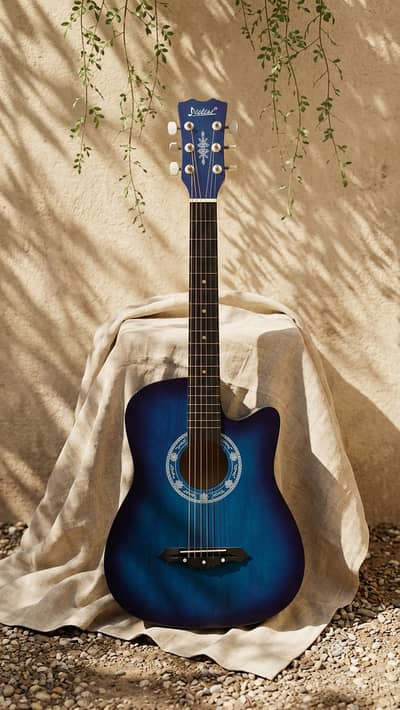 Acoustic Guitar For Sale