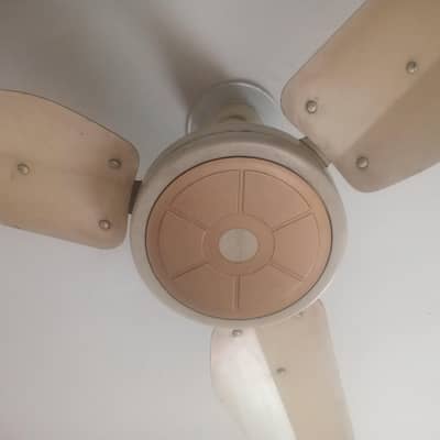 2 full size Fans ( Lahore Fans ) in working condition 2 season used