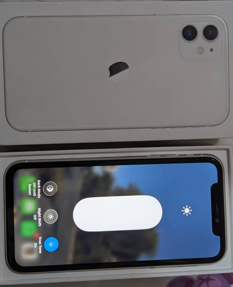 Apple iPhone 11 10