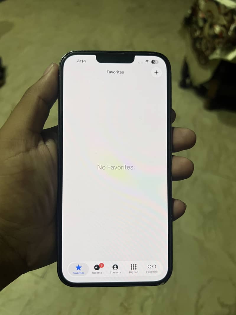 Apple iPhone 13 Pro Max 2