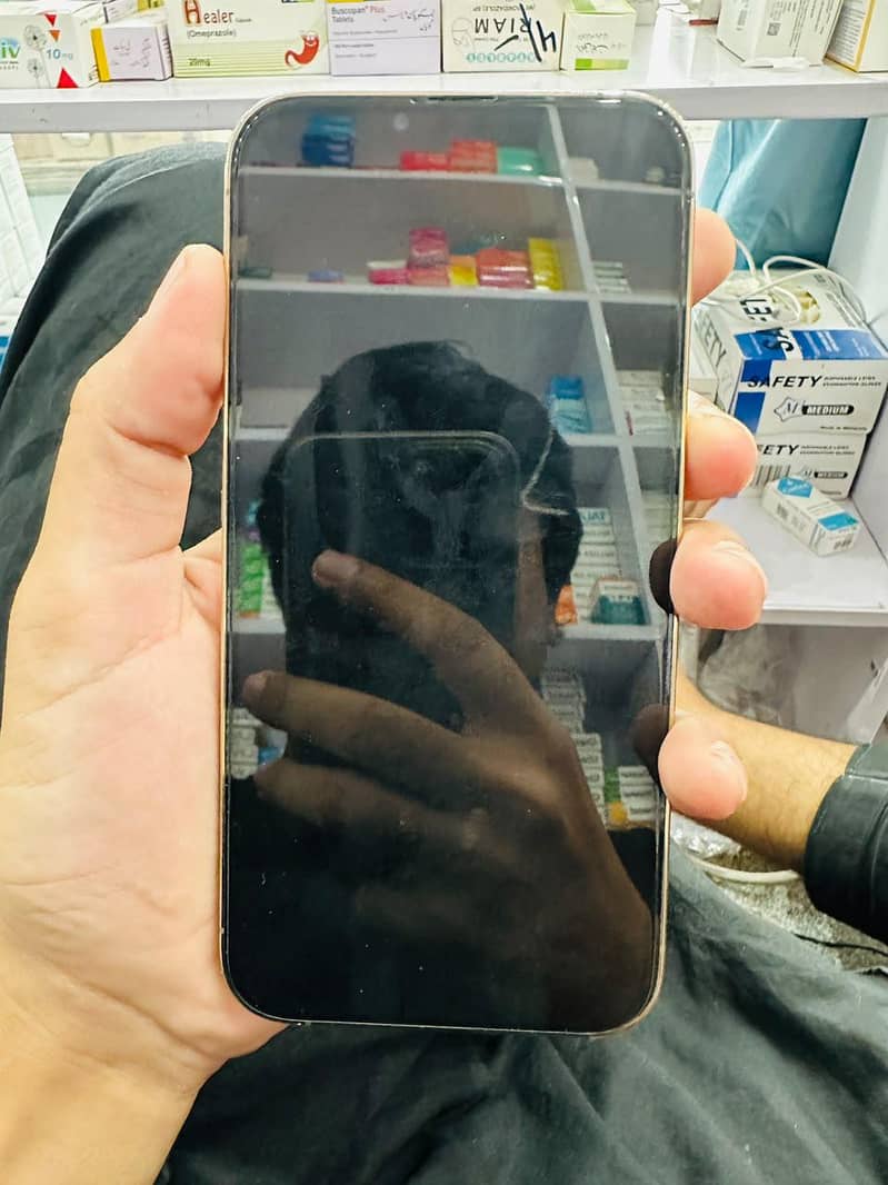 Apple iPhone 13 Pro Max 2