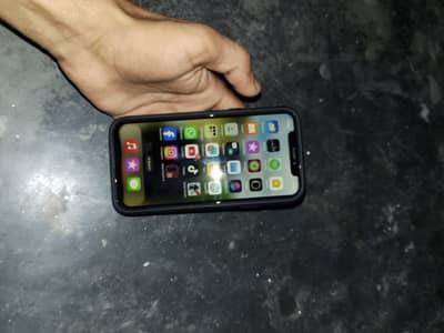 Apple iPhone X