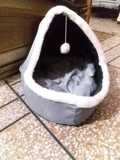 Big veranda cat house