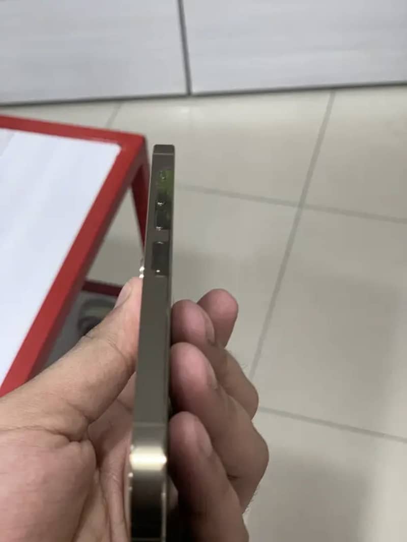 Apple iPhone 13 Pro Max 1