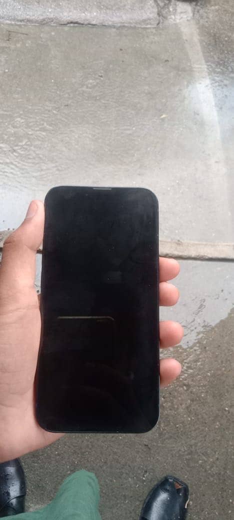 Apple iPhone 13 0