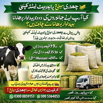 Corn Silage/Maki Silage/Animal Feeds  چوہدری سائیلج