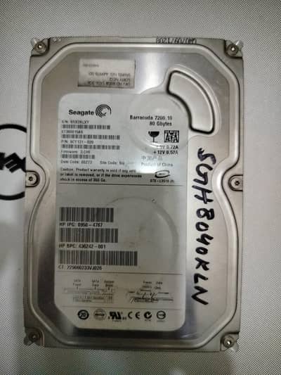 Seagate 80GB SATA Desktop Hard Drive (Barracuda 7200.10)