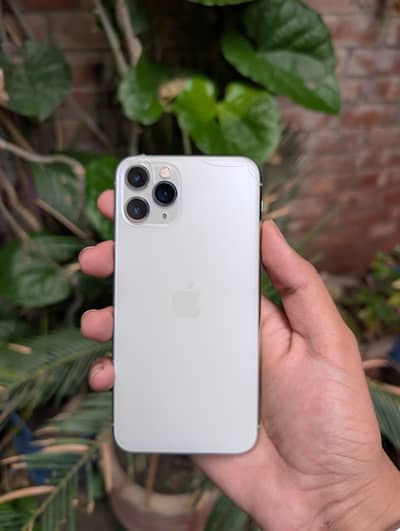 Apple iPhone 11 Pro Sim Glitch