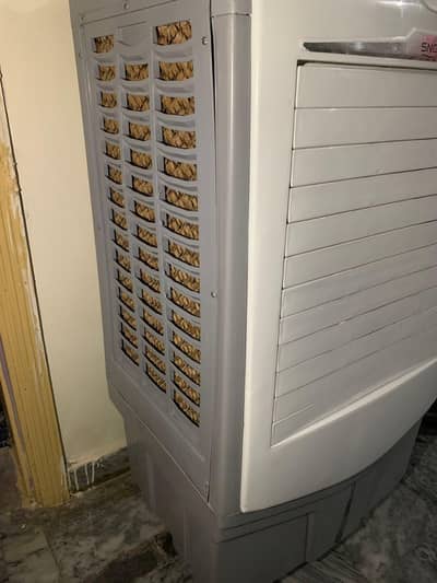 Pakistani Local AC/DC Room Cooler