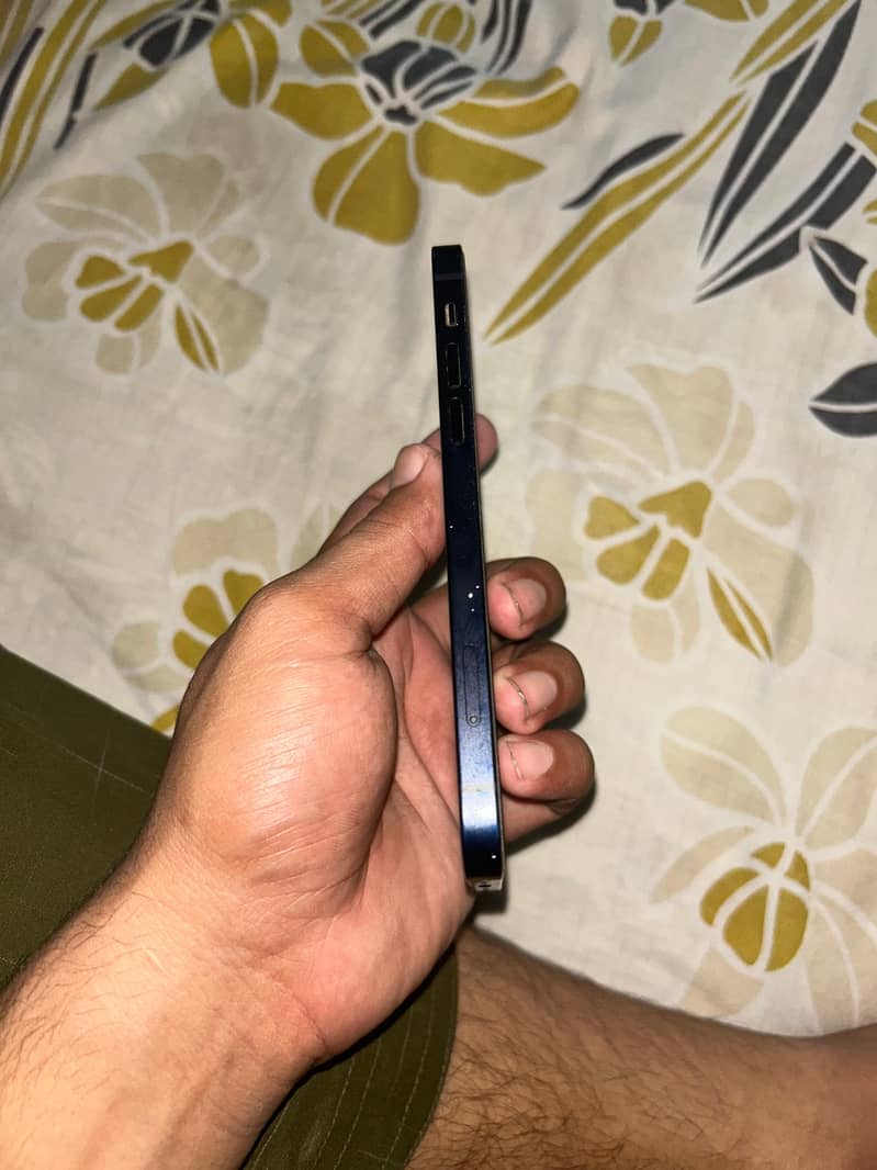 Apple iPhone 12 1