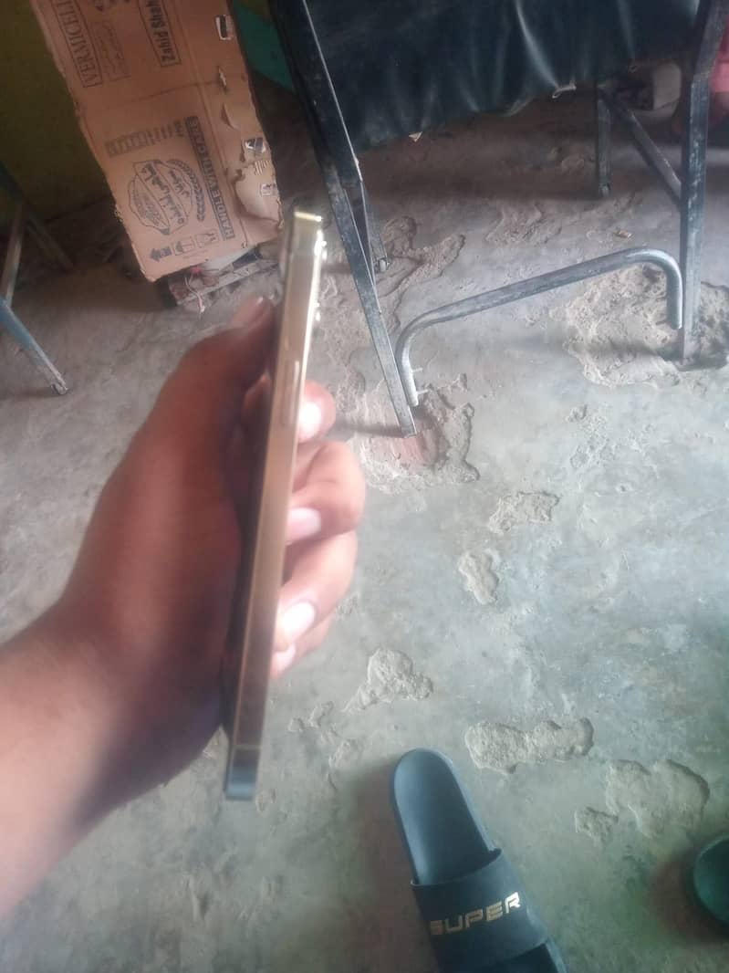 12 pro ma. 1