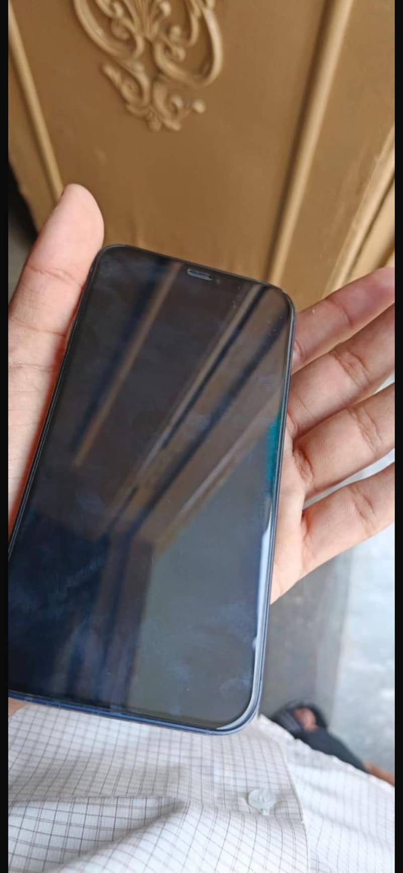 Apple iPhone 12 1