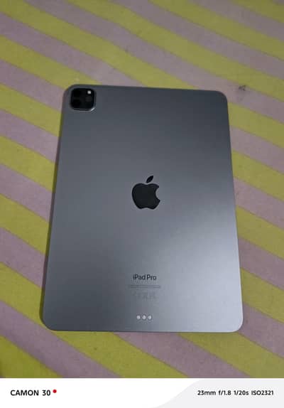 Apple iPad Pro M2 (space gray) with Apple Pencil - 512 Gb