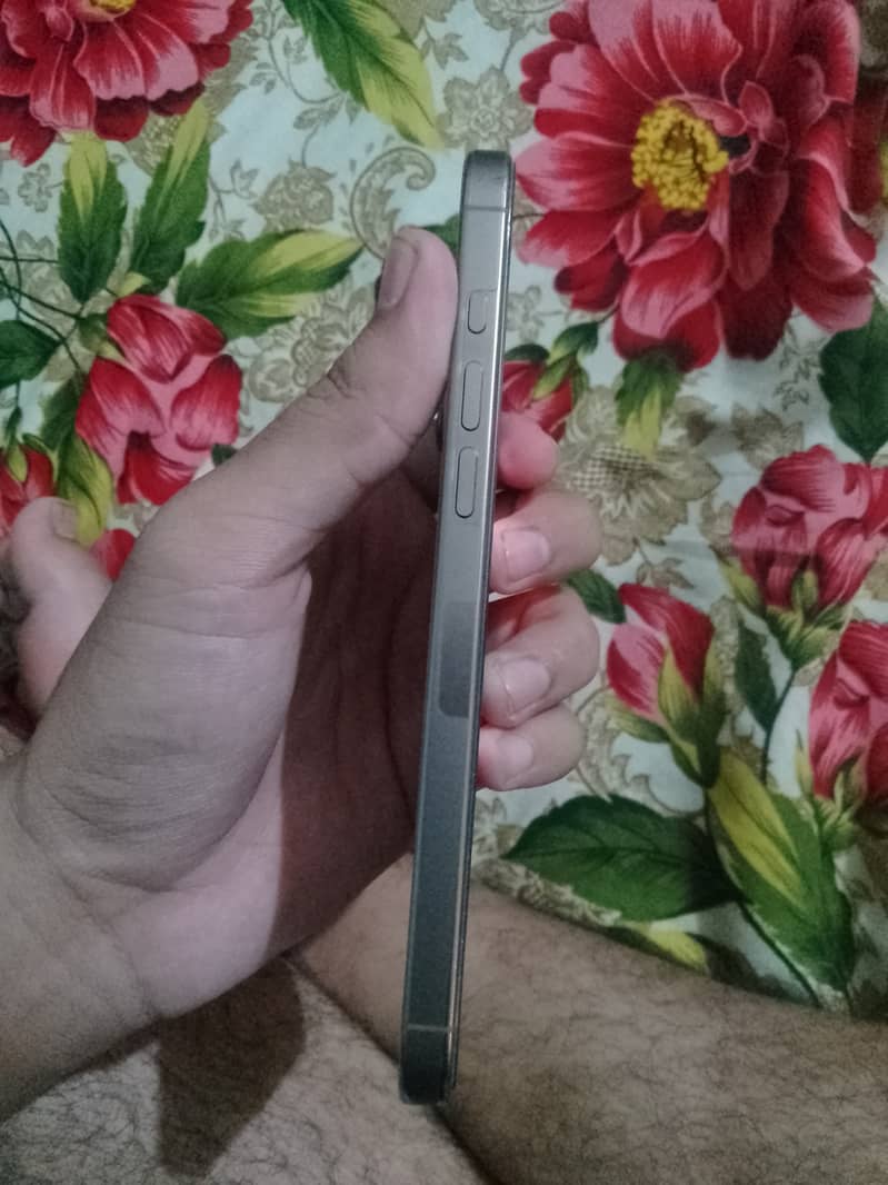 Apple iPhone 16 Pro Max 1