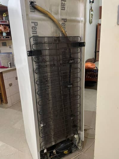 Madican fridge for sale