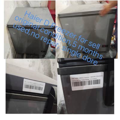 Haier D Freezer