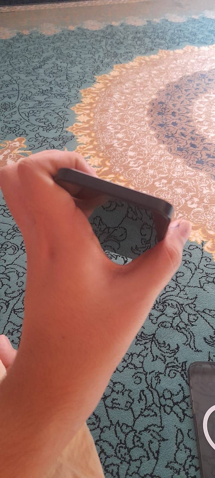 Apple iPhone 12 1
