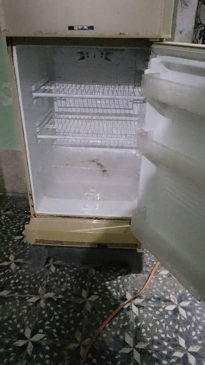 PEL Fridge (Best Cool)
