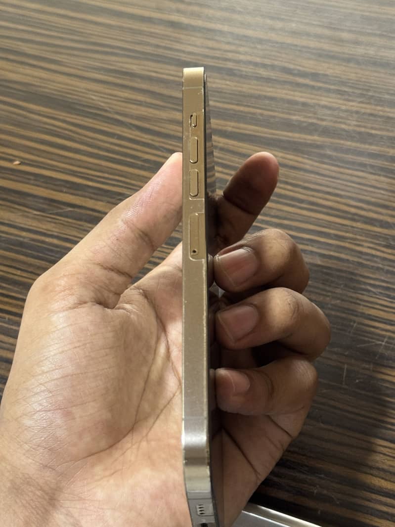 Apple iPhone 13 Pro Max 2