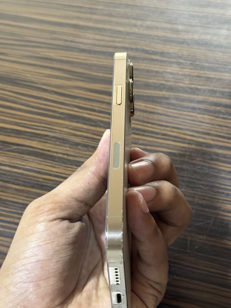 Apple iPhone 13 Pro Max 3