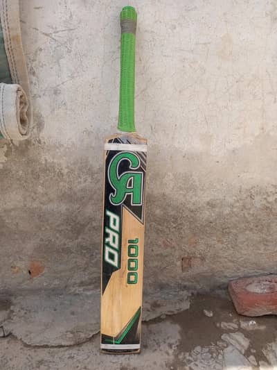 Cricket Bat