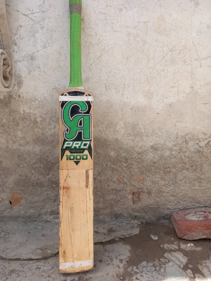 Cricket Bat 1