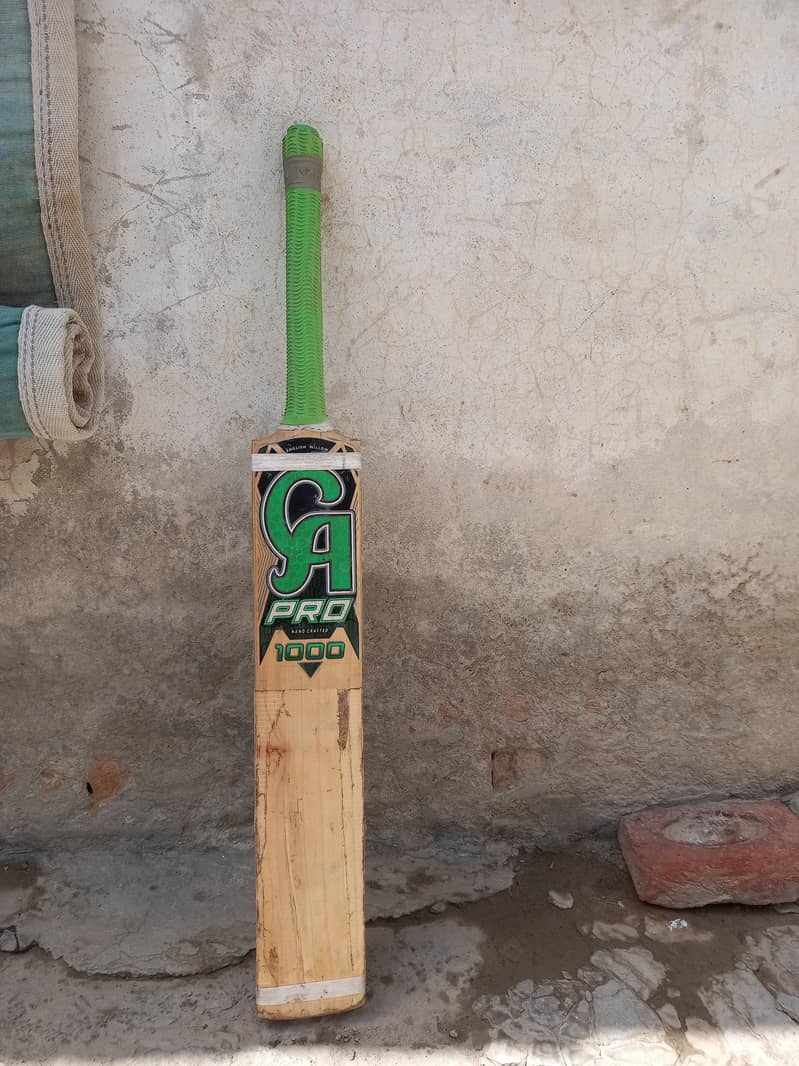 Cricket Bat 2