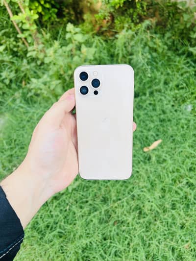 Apple iPhone 12 Pro Max