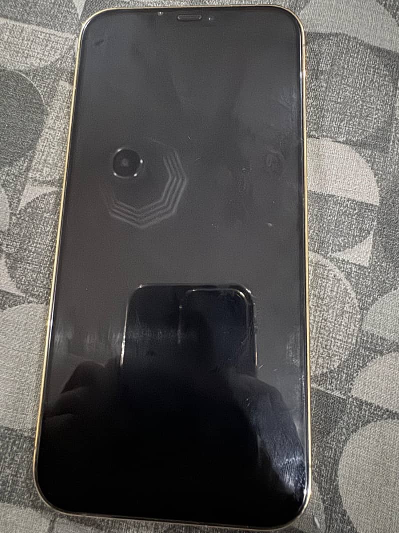 Apple iPhone 12 Pro Max 1