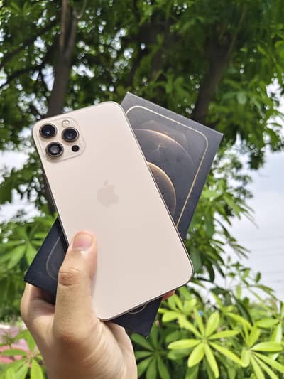 Apple iPhone 12 Pro Max PTA Approved