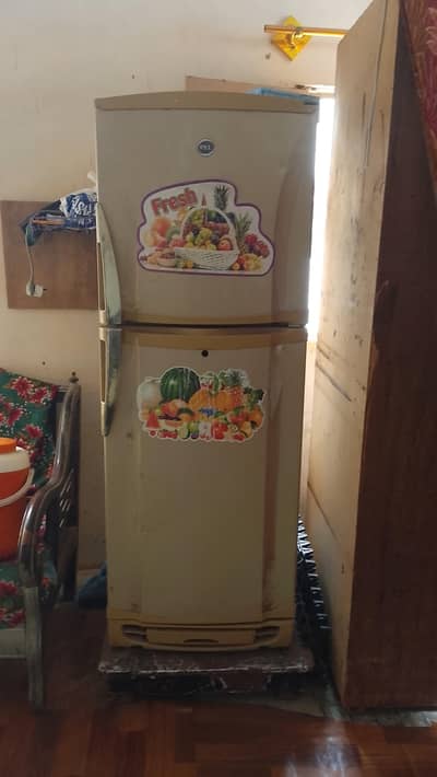 pel fridge available