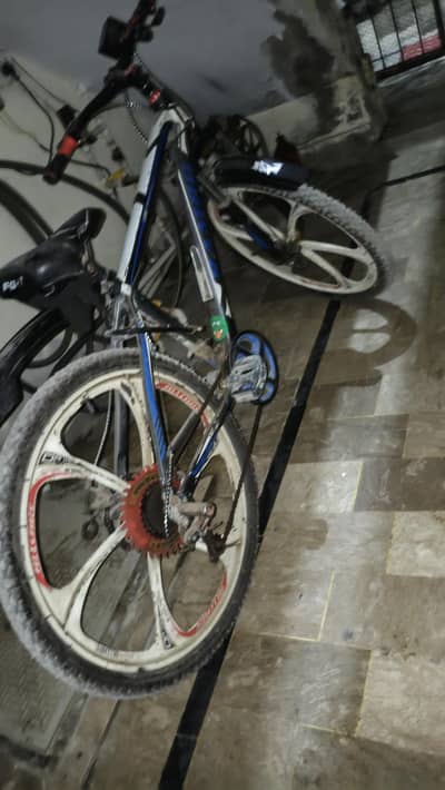 Rambo Gare Shift cycle 24" Imported