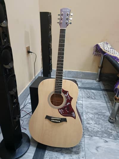 Acoustic guitar