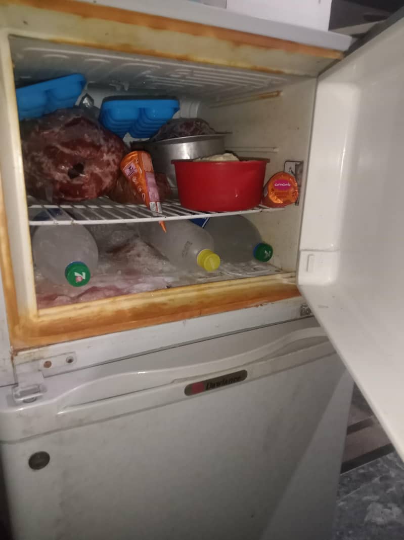 fridge 3