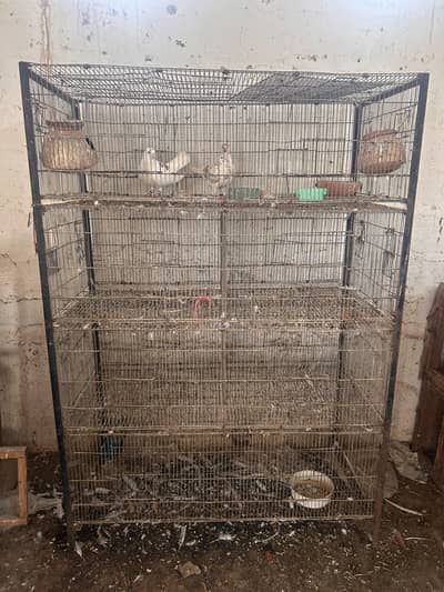 cages for sale in good condition sab ka Alag Alag price hai