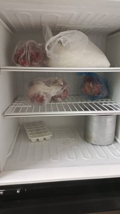 PEL Glass Door Refrigerator