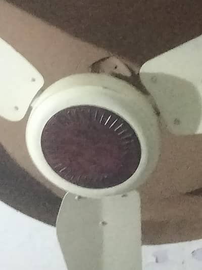 celling fan . used but in very good condition