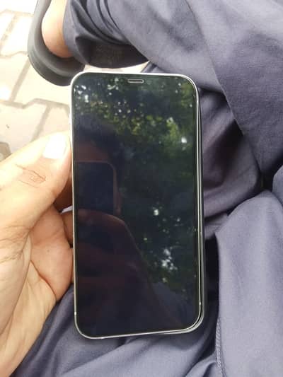 Apple iPhone 12jv