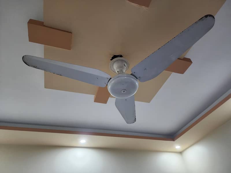 CELINING FAN 1