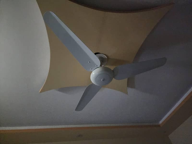 CELINING FAN 3