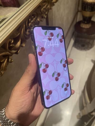 Apple iPhone 12 Pro Max